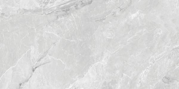 Gạch khổ lớn 600x1200mm vh254