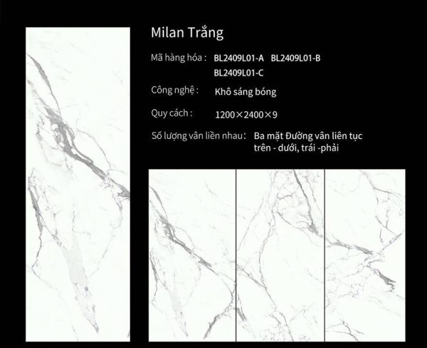 gạch khổ lớn 1200x2400