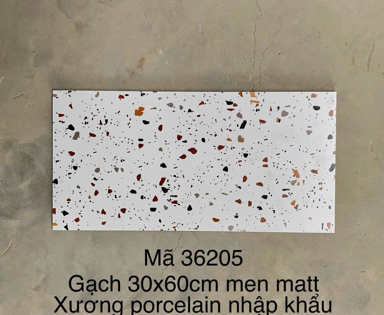 Gạch Terrazzo Porcelain mờ phẳng KT 300x600mm mã 36205