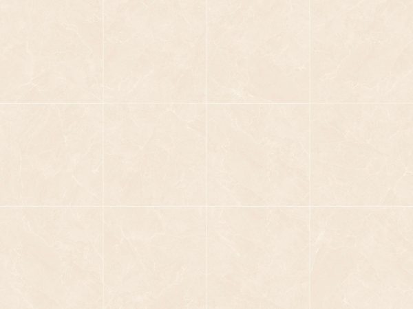 GẠCH ỐP LÁT 600x600MM,800x800MM Mã AMP66005/AMP88005