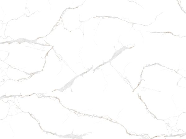 Gạch khổ lớn 800x800cm mã C81VW808