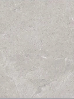 Gạch Taicera G63L08JF – Gạch Marble Art 2.0 30×60 cm