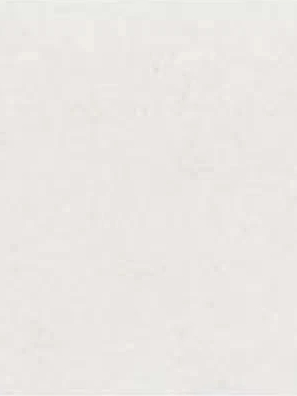 Gạch Taicera G63P32JM màu trắng Bianco, gạch ốp tường Granite men Matt vân đá French Stone kích thước 30x60 cm